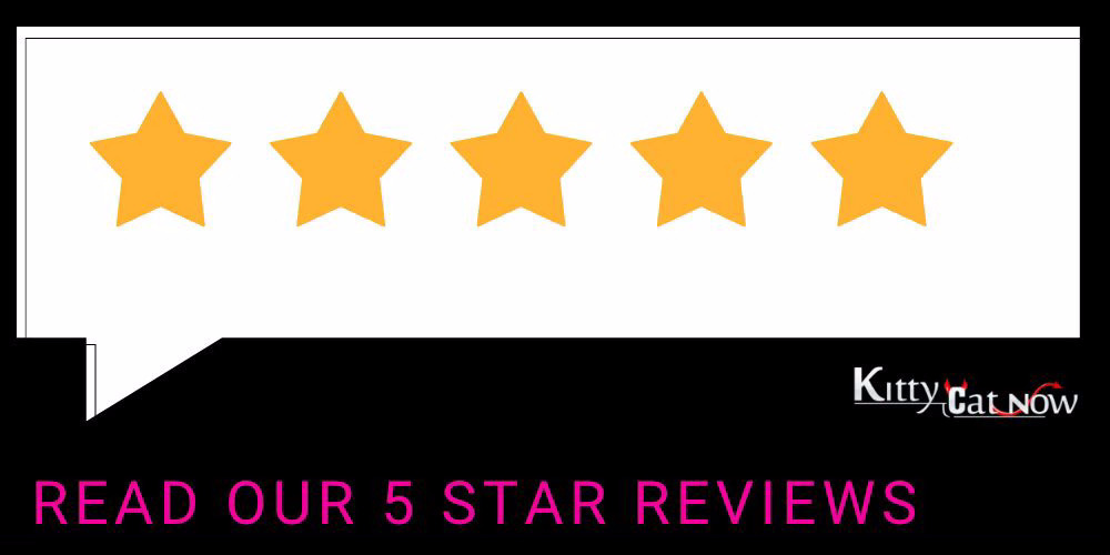 Kitty Cat Now Atlantic City Reviews