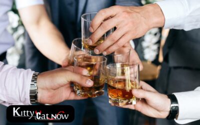 Planning a Bachelor Party in Atlantic City? Let Kitty Cat Now Handle It All!
