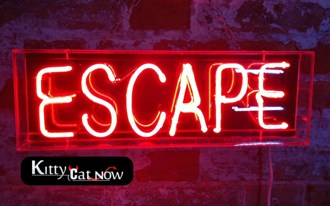 Escape the Ordinary: How to Throw a Bachelor Party He’ll Never Forget in Atlantic City