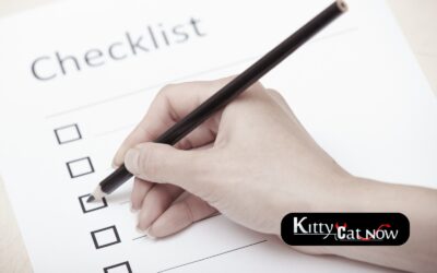 Atlantic City Bachelor Party Planning Checklist: Fall Edition