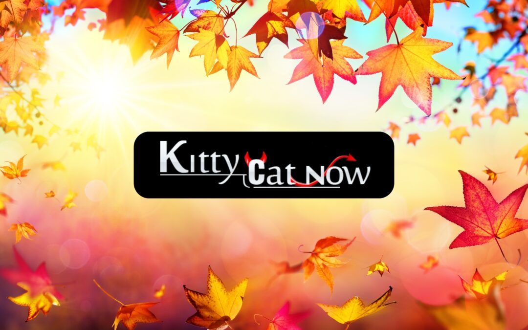 Why Fall Is the Best Season for Bachelor & Bachelorette Parties in Atlantic City