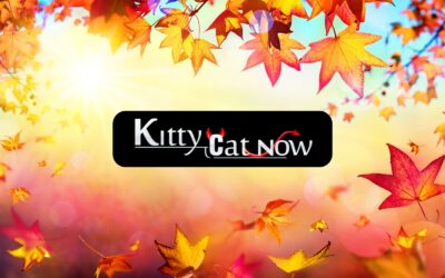 Why Fall Is the Best Season for Bachelor & Bachelorette Parties in Atlantic City