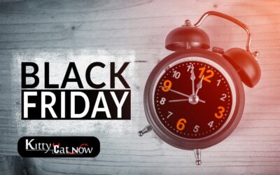 Black Friday Party Ideas: Celebrate Big with Exotic Dancers in Atlantic City