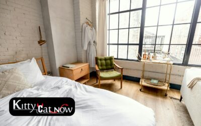 Planning a Private Airbnb Party with Strippers in Atlantic City