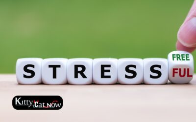 Hosting Private Party Entertainment at Home in Atlantic City: A Stress-Free Guide