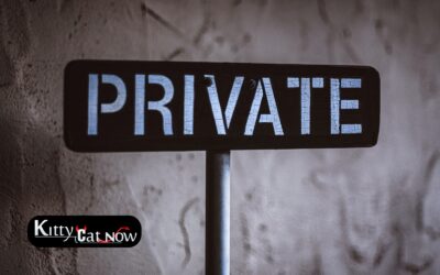 Why Private Party Entertainment Beats the Club Scene in Atlantic City