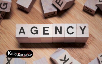 How to Choose a Legit Stripper Agency in Atlantic City