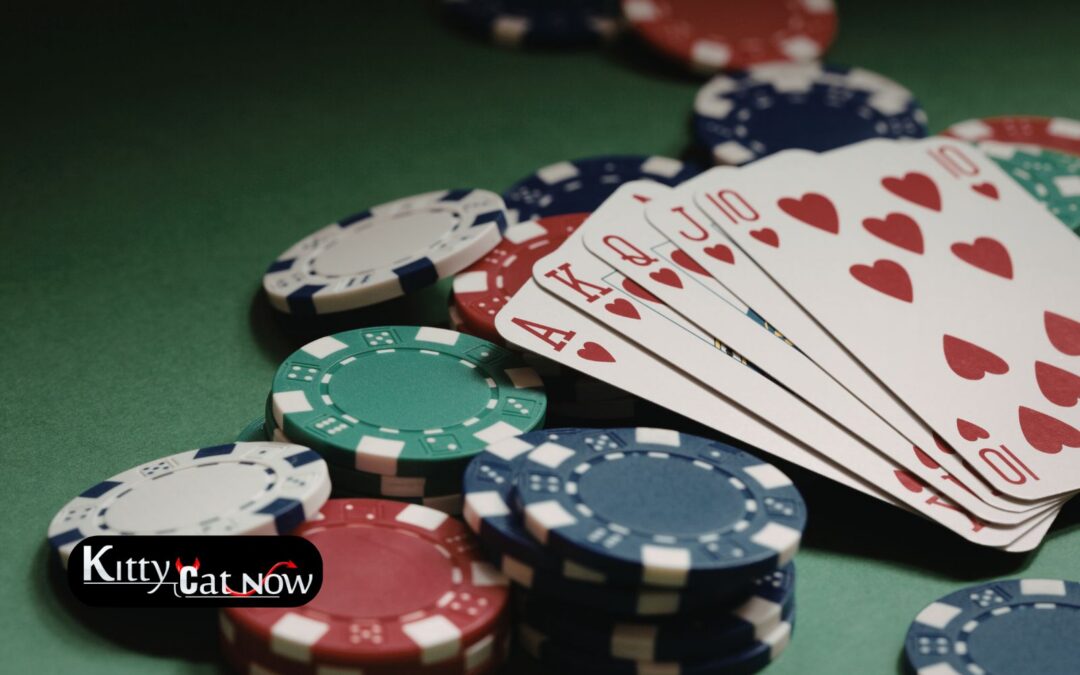 Poker Night Upgrade: Private Entertainment for Your Atlantic City Home Game