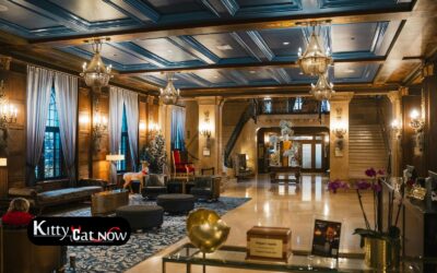 Hotel Suite vs. House Rental: Where to Host Your Atlantic City Bachelor Party